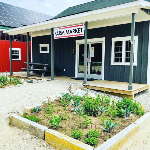 Replenova Farm in Maine Goes Solar!